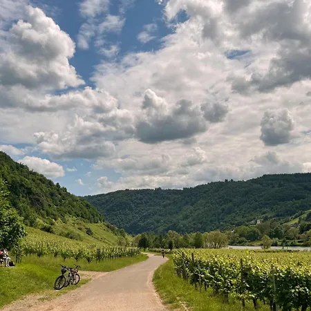 Wohnen Am Weingut - Ueber Den Faessern Apartman Briedel