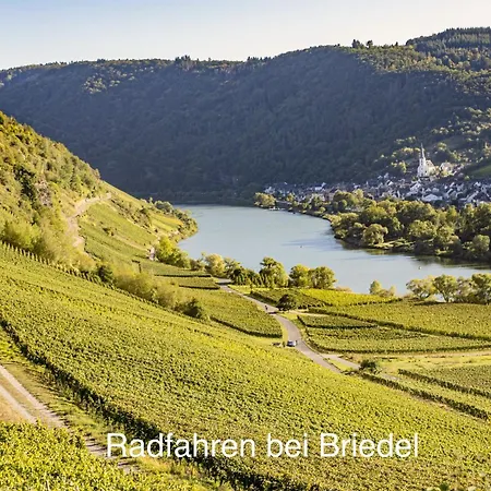 Apartman Wohnen Am Weingut - Ueber Den Faessern *