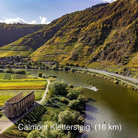 Wohnen Am Weingut - Ueber Den Faessern Apartman